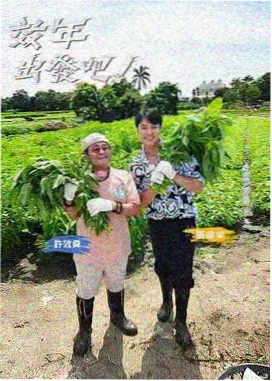 多多影视 歌手2024 音乐综艺